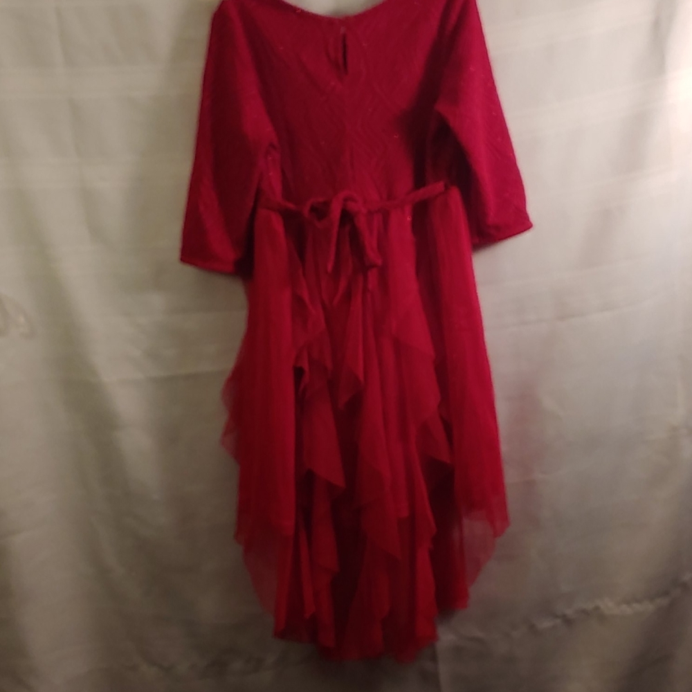 Sweet Heart Rose Dress - Picture 4 of 8